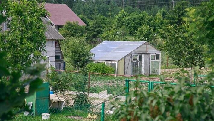 Почвенный пирог: как построить высокую грядку за один вечер без копания ямы и тачки грунта