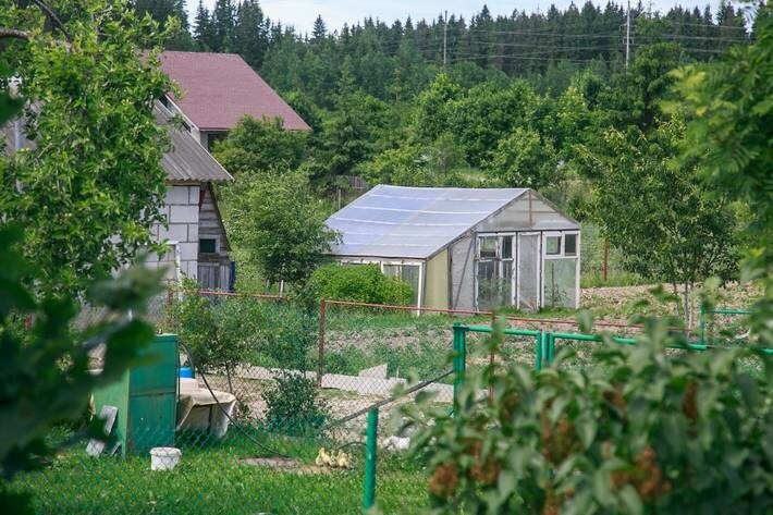 Земляные пироги: как построить высокую грядку за одну ночь без копания и сноса