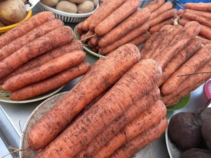 Простые советы по поливу моркови: более равномерный и крепкий полив корнеплодов